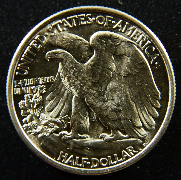 D75_1889a.jpg
