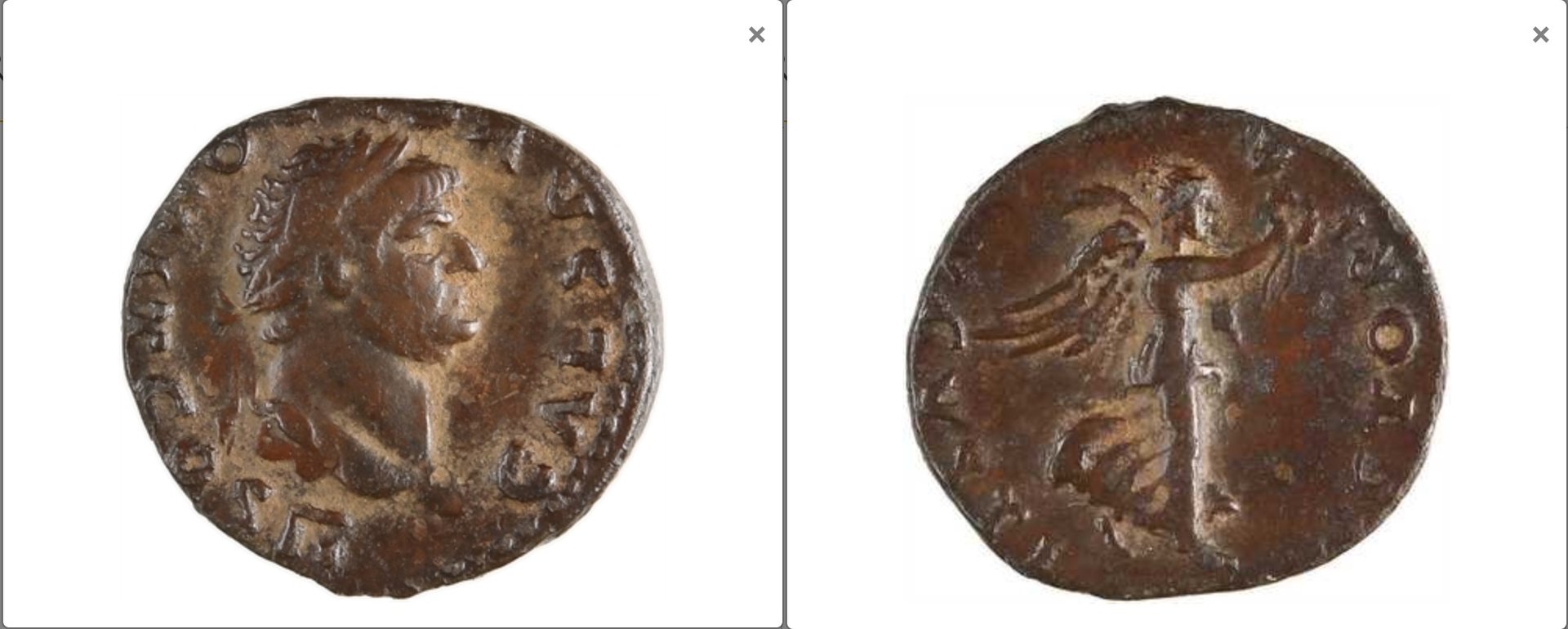 D790 vesp.jpg