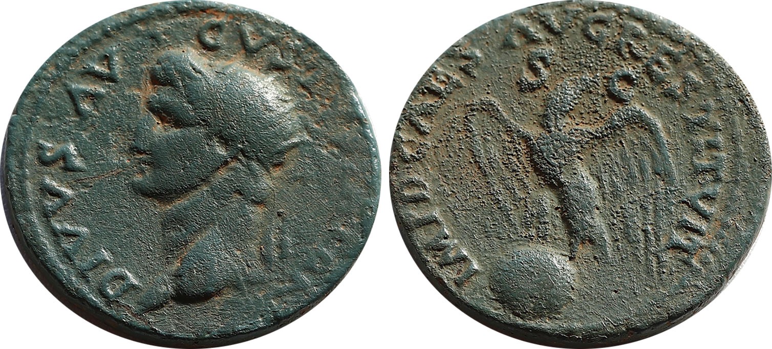 D824.jpg