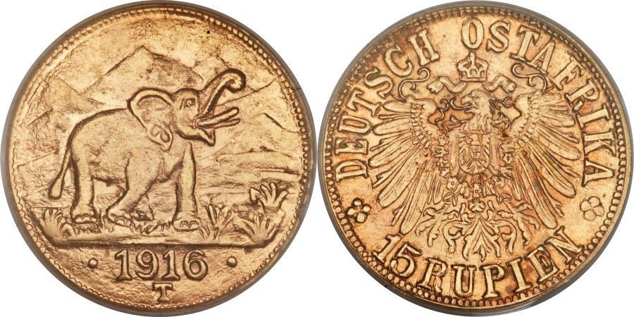 d8e1a9f0755ee274cb8a5cd58aac5cbc (1).jpg