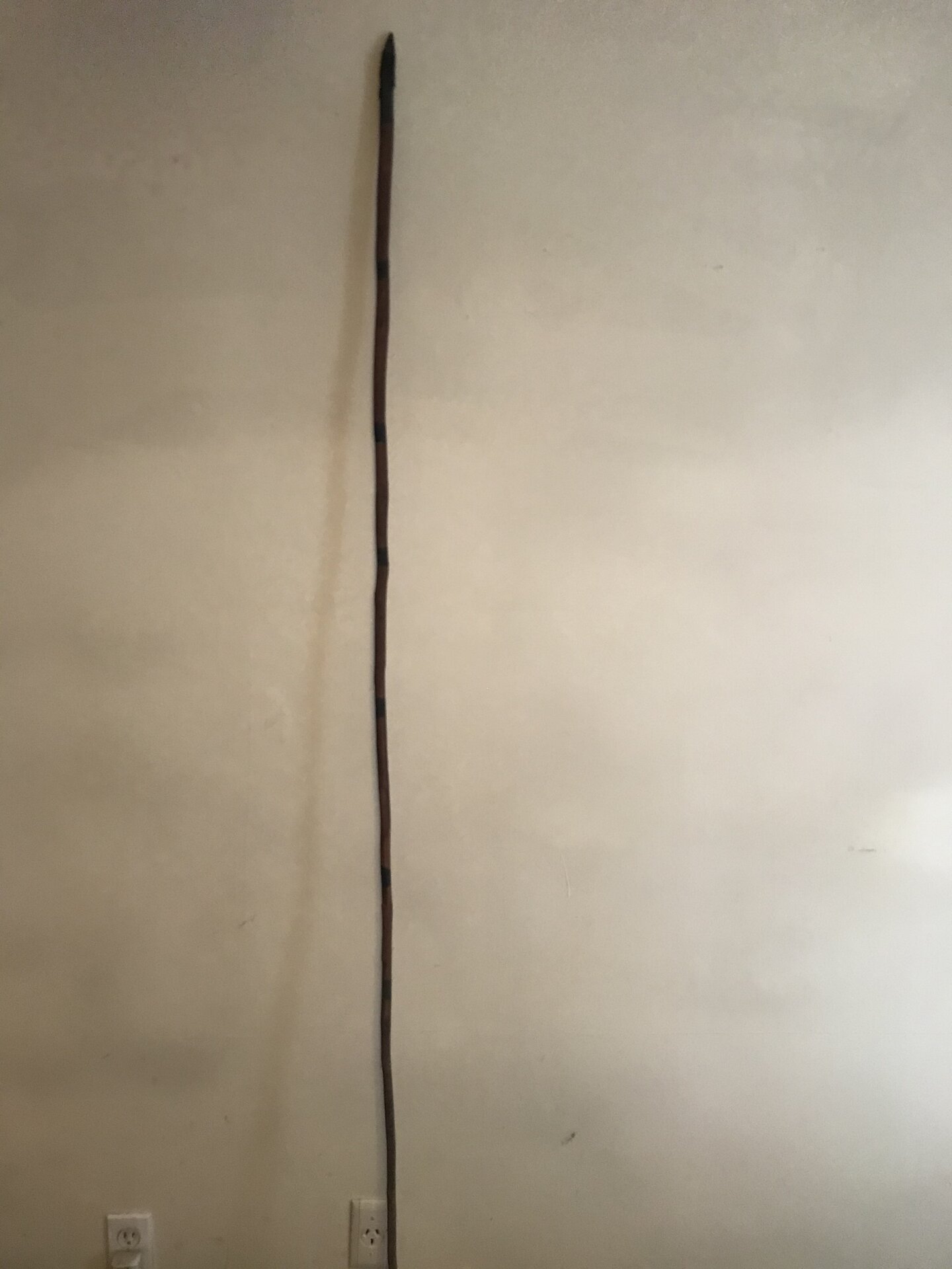 D978E895-D7D8-4E28-BF89-DAFCC9D9212B.jpeg