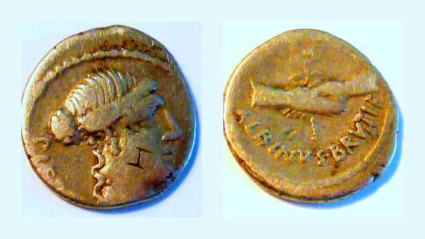 D_Junius_Brutus_Albinus 1_opt.jpg