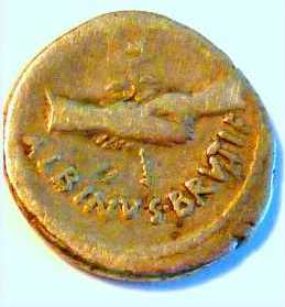 D_Junius_Brutus_Albinus_1 REV.jpg