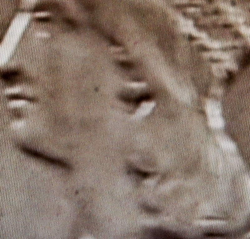 DABB2F91-E7A0-4A29-A12F-2ECCD7465110-70320-00003AF183608C43.jpeg