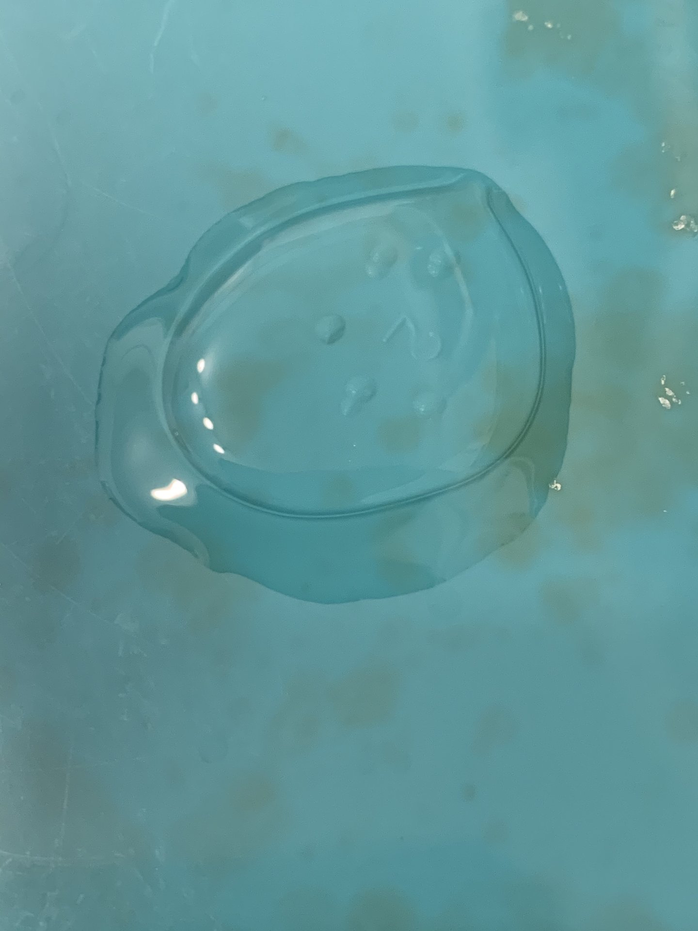 DABDE62D-A47D-49E1-AF9F-564446771BE1.jpeg