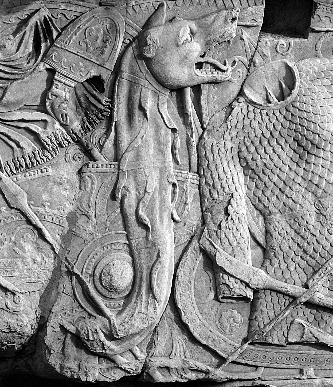 Dacian Draco 2.jpg