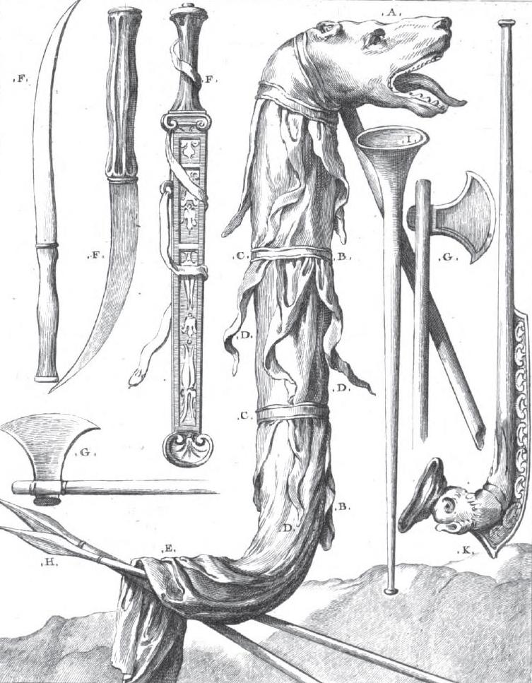 Dacian Draco 5.JPG