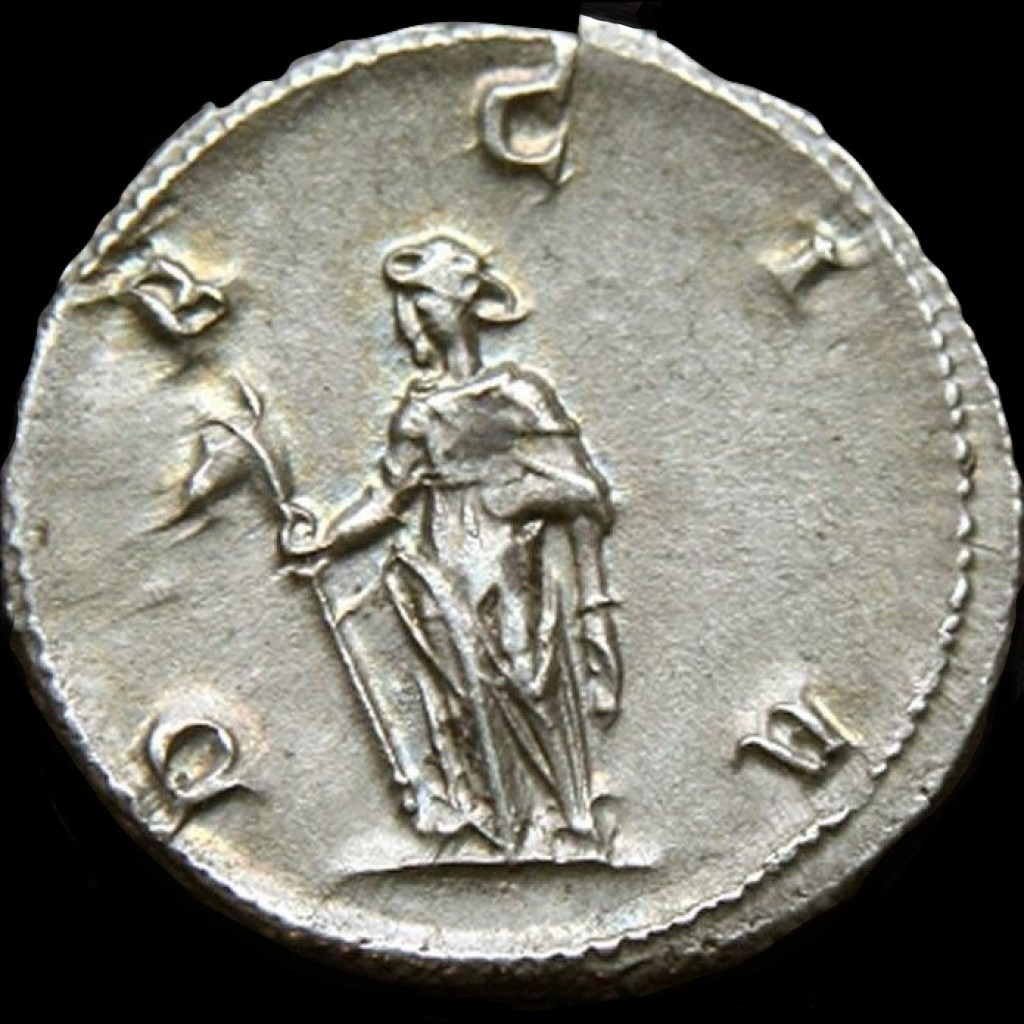 dacian2_burned.jpg