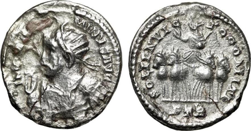 daia_argenteus.jpg