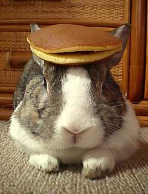 daily_bunny_flapjackbunny.jpg