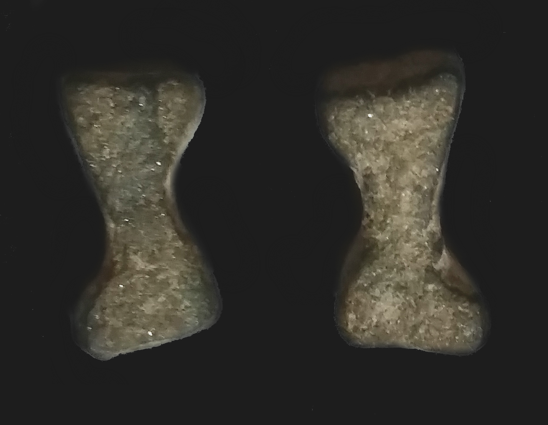 DamaruD.jpg