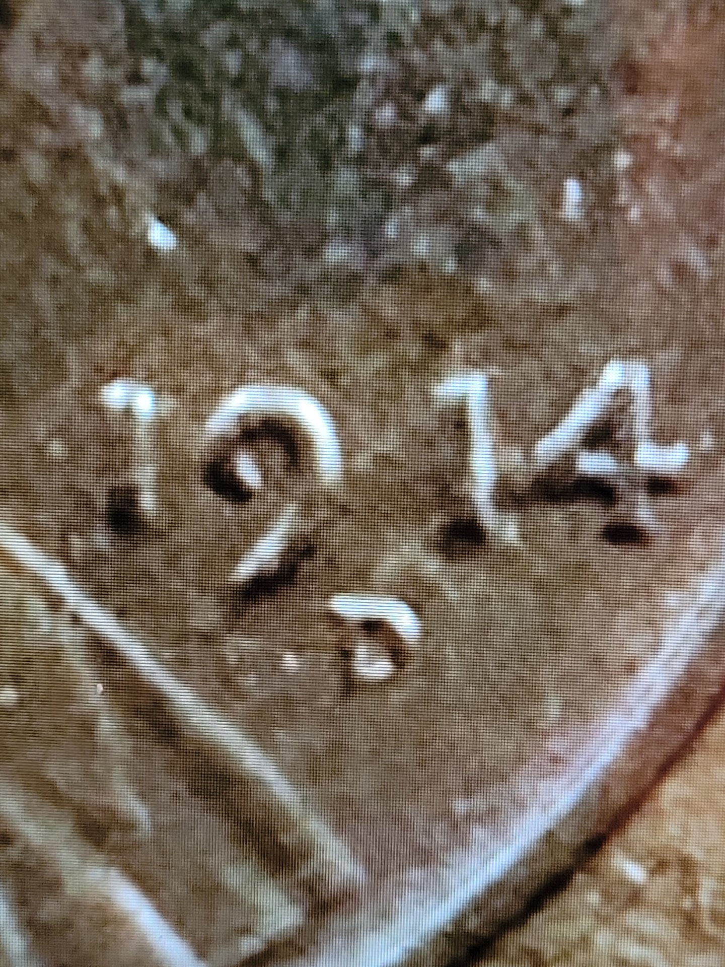 Danomite 1914    2 .jpg