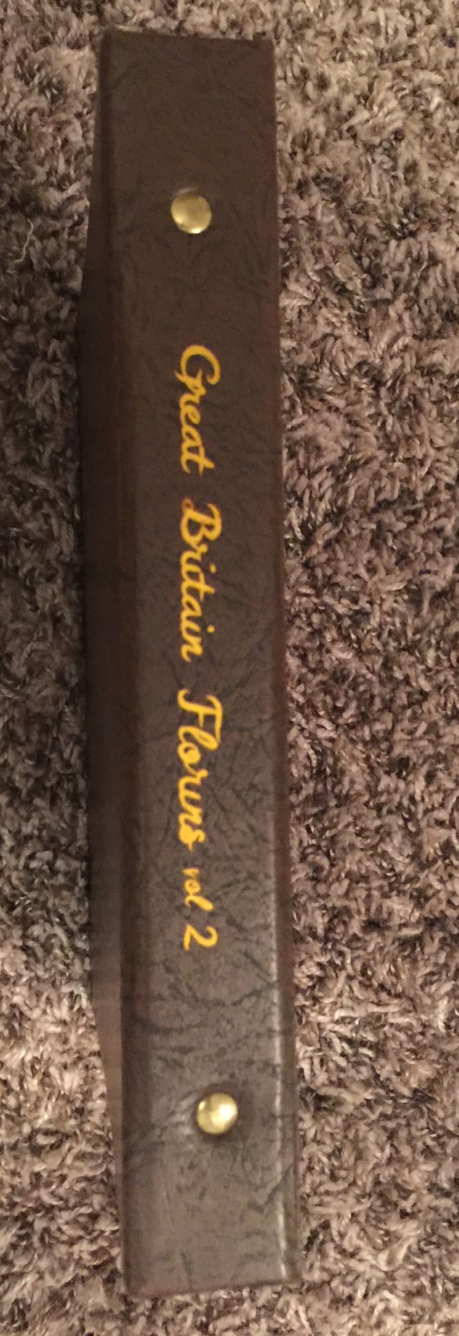 Dansco Great Britain Florins Volume 2 Spine (2).JPG
