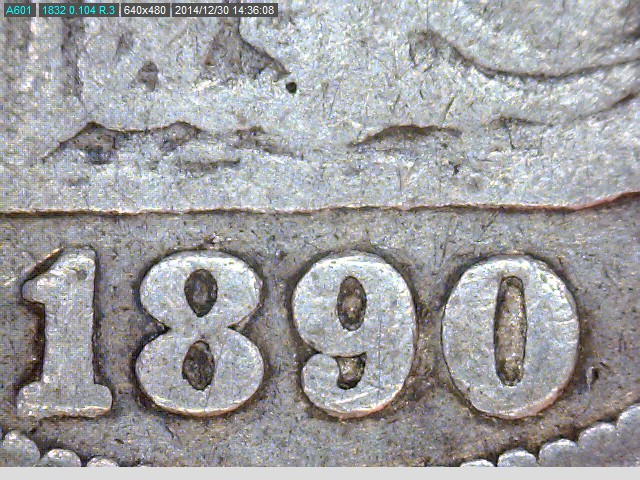 date 1890.jpg