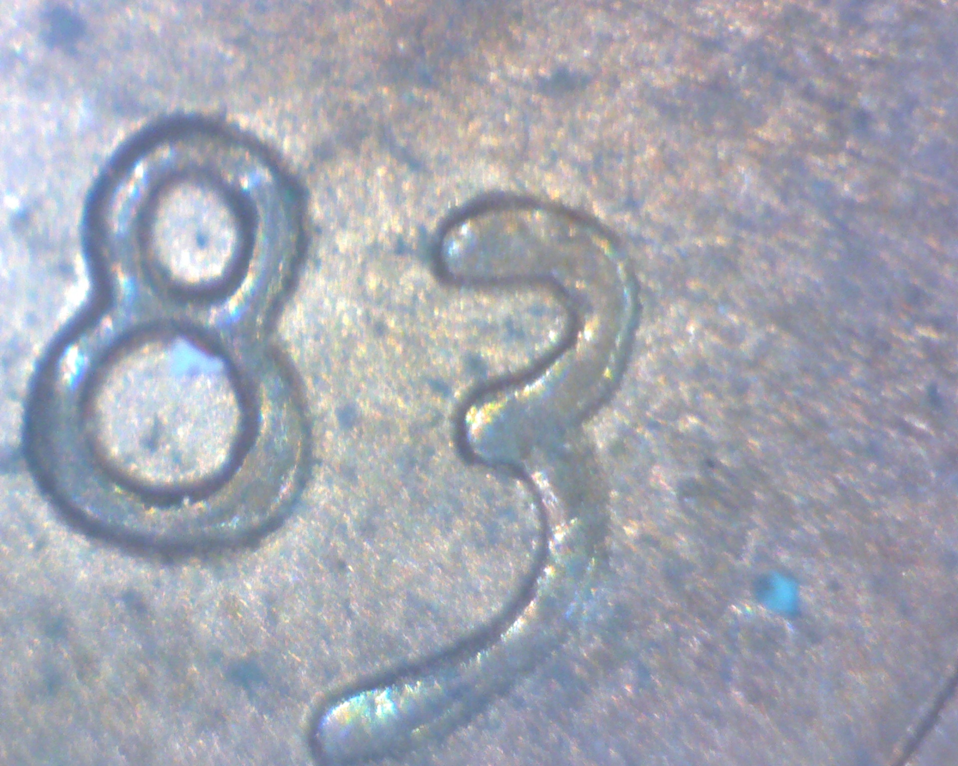date83.jpg