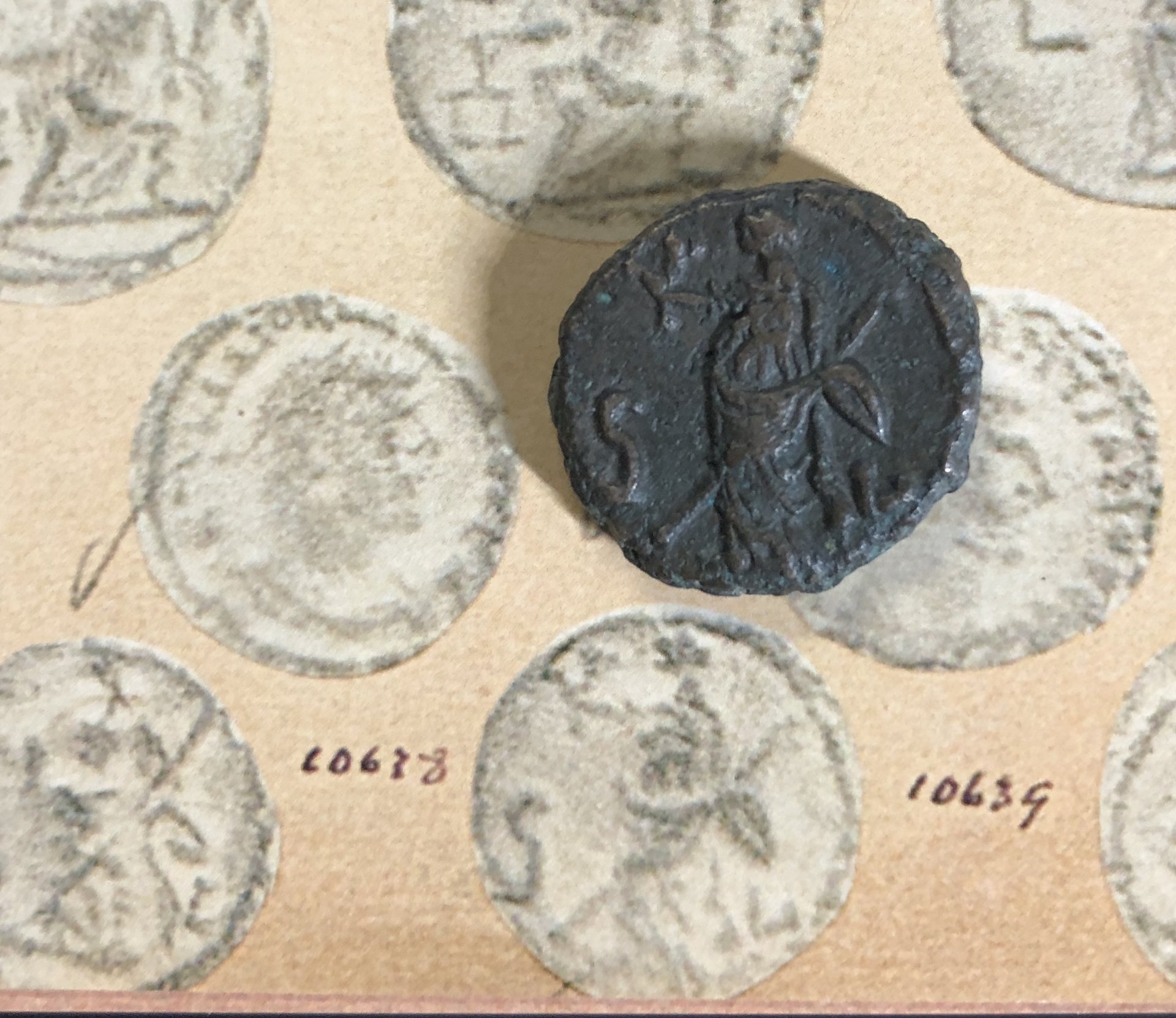 Dattari 10638 Plate.jpg