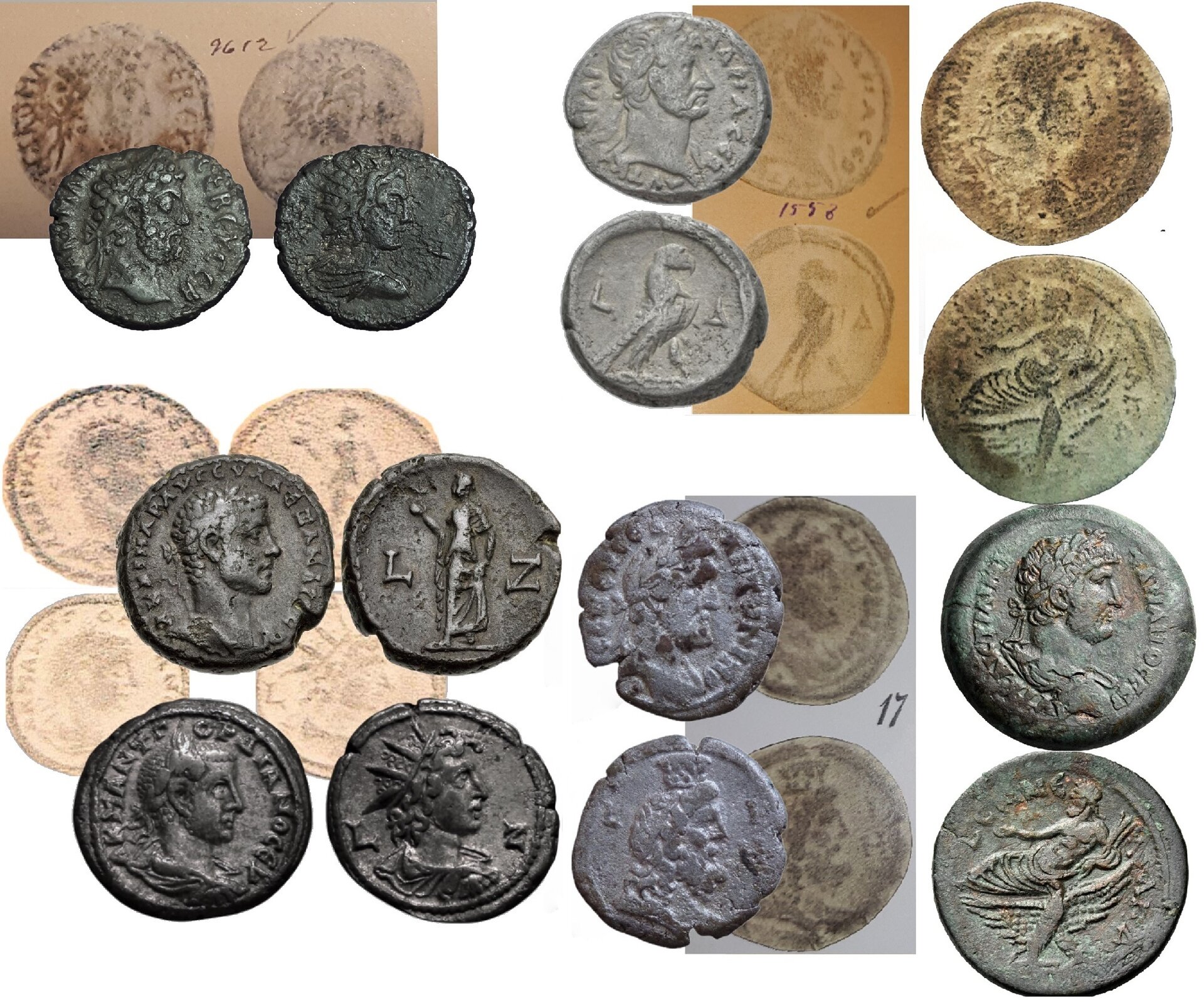 Dattari Plate Coins Group Shot SIX Coins.jpg