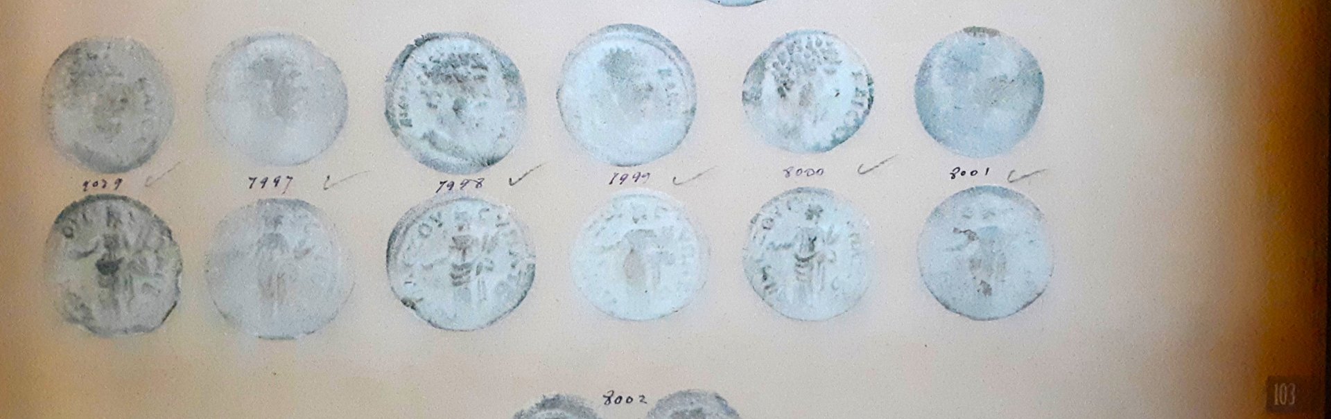 Dattari Savio pl 103 7999 Aelius.jpg