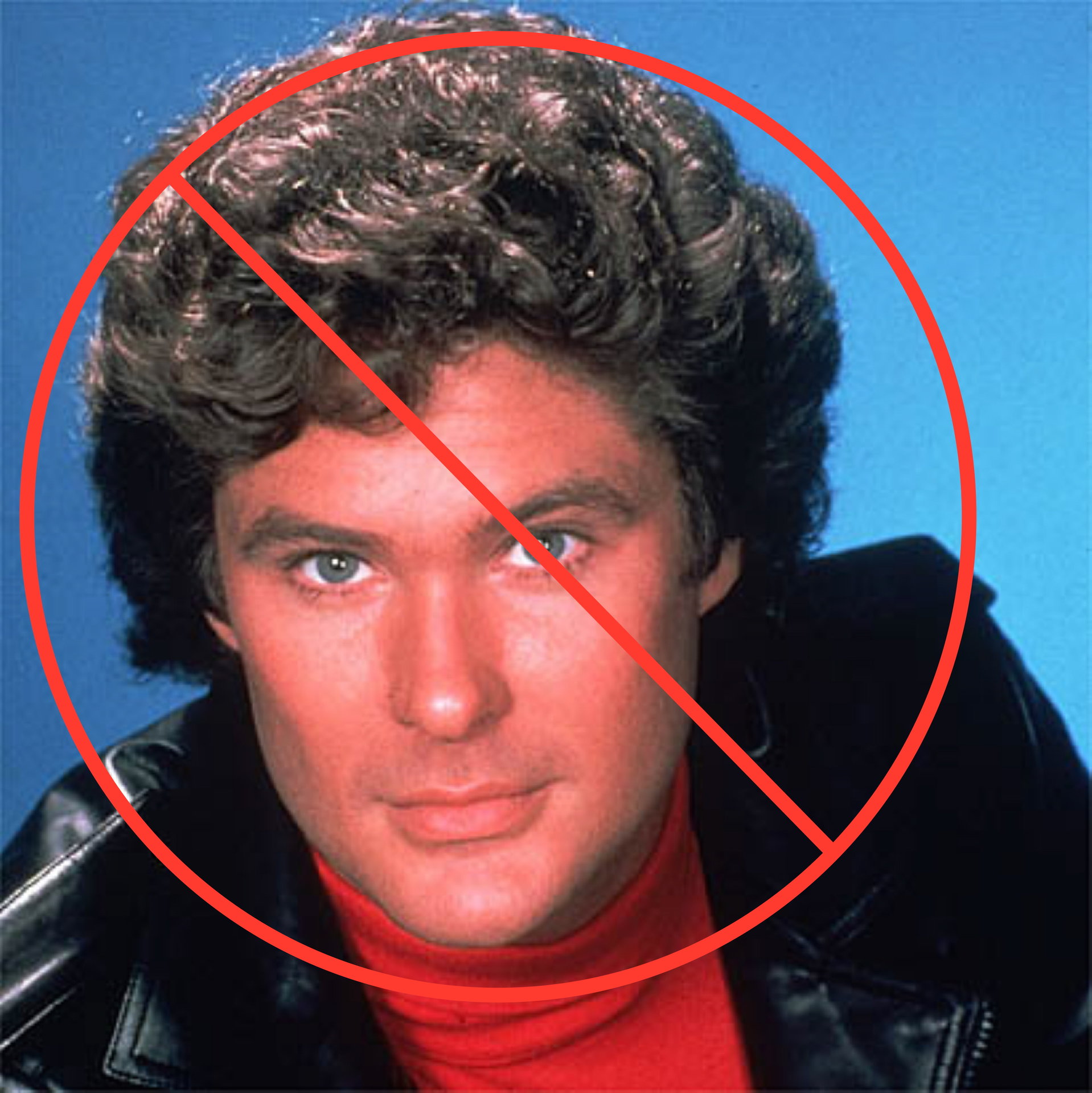 david-hasselhoff-19.jpg