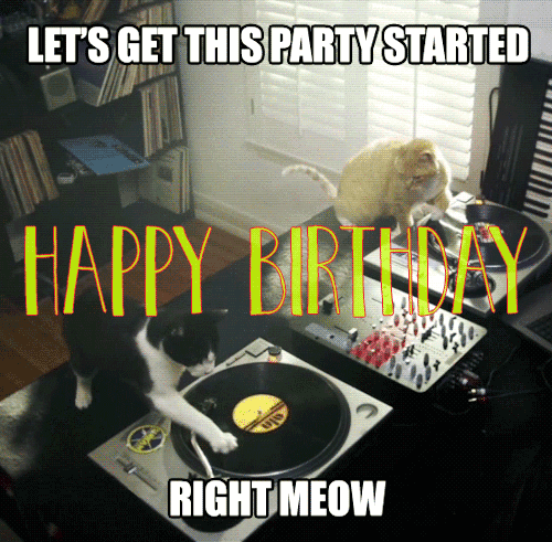 dbf5d1c91d11f5b51e16ecebfec13a0a_-funny-happy-birthday-gif-cat-birthday-clipart-gif-file_500-491.gif