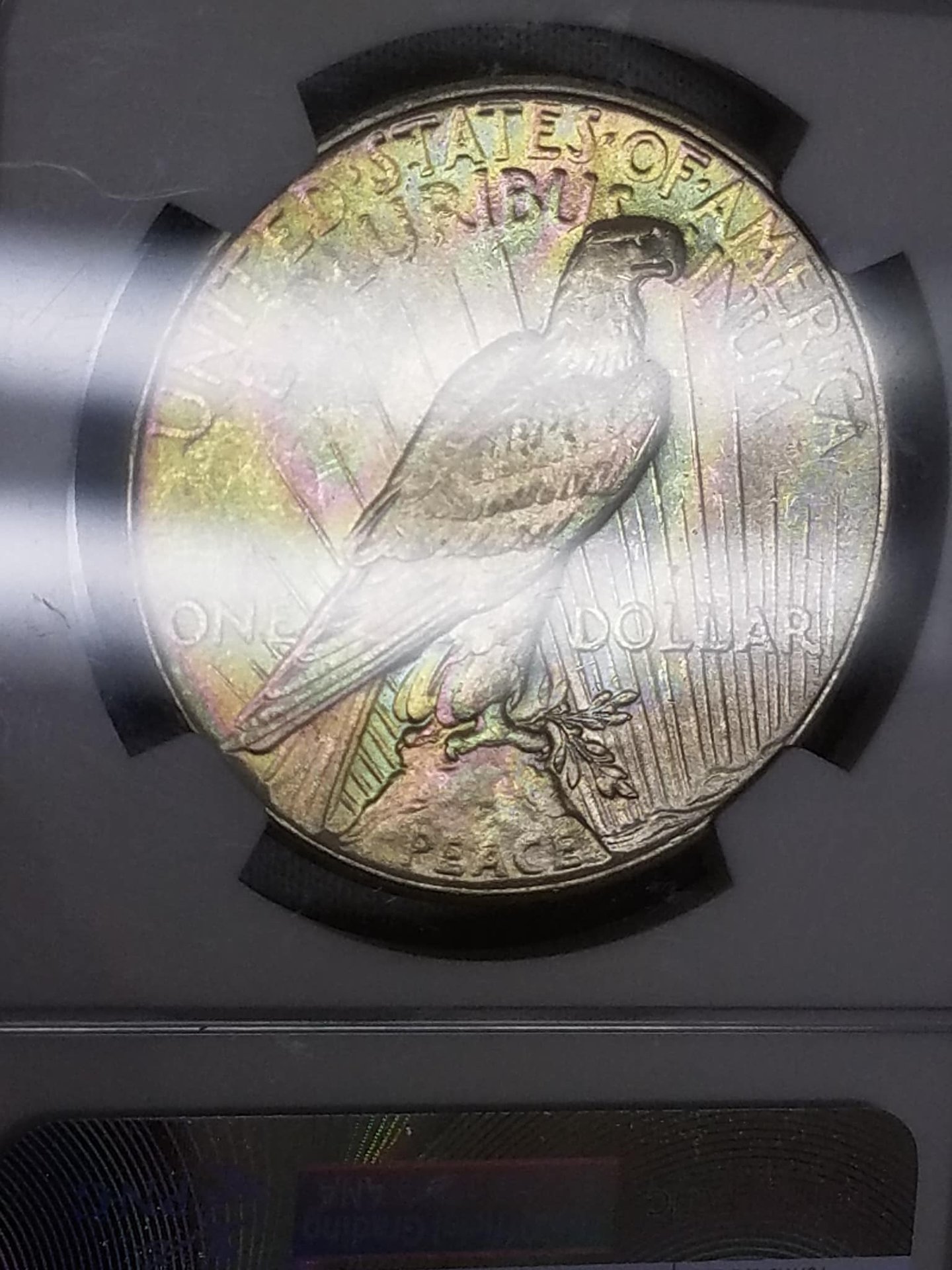 DC0117D0-18FA-434B-8DB5-B9CCB74A6632.jpeg