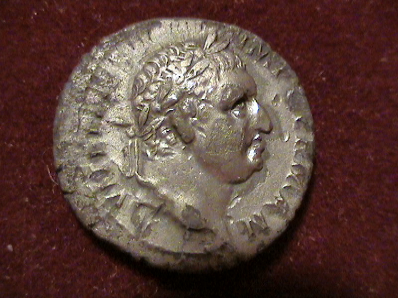 DCAM0009.JPG