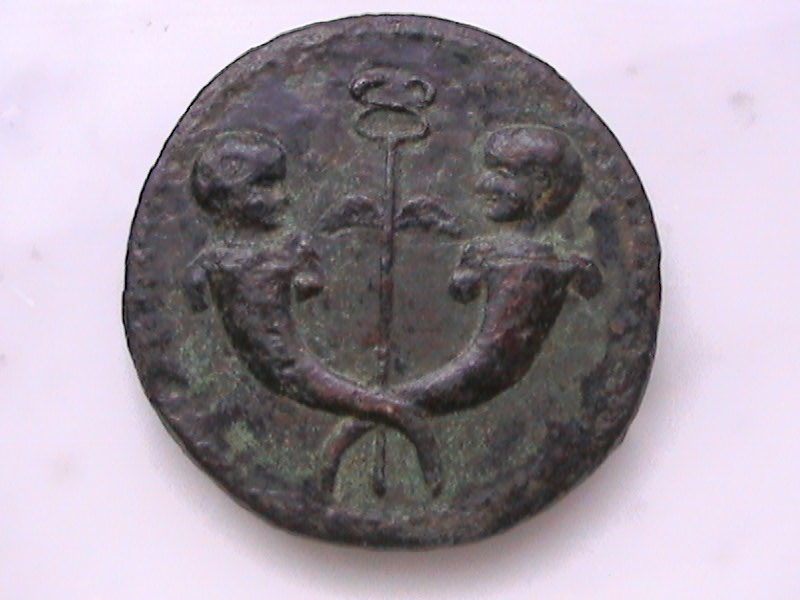 DCAM0010.JPG