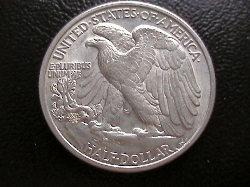 DCAM0024.JPG
