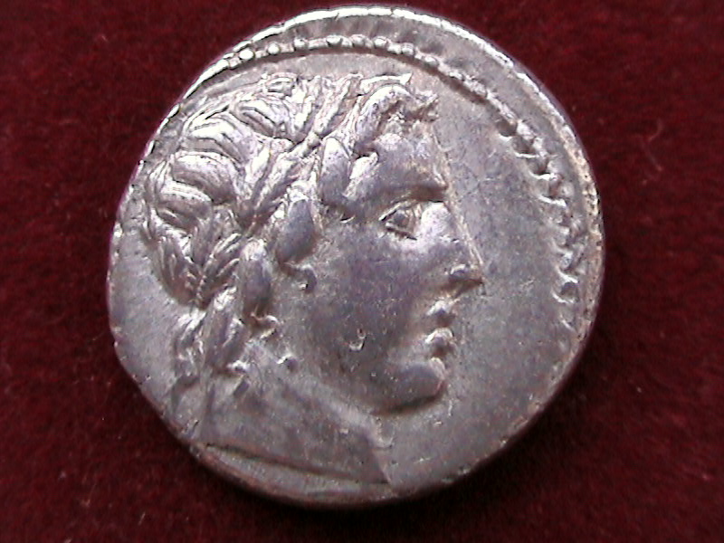 DCAM0029.JPG