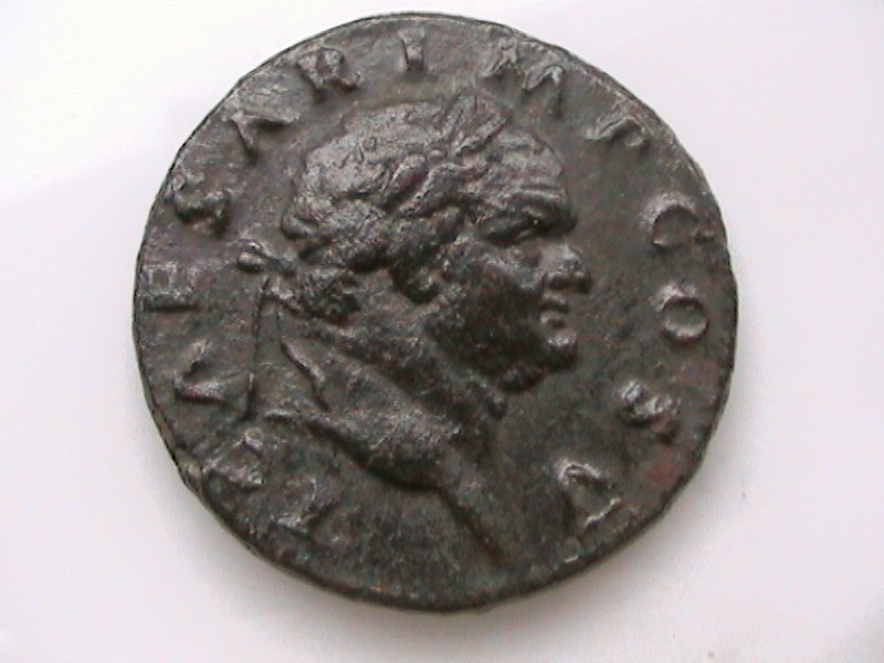 DCAM0042.JPG