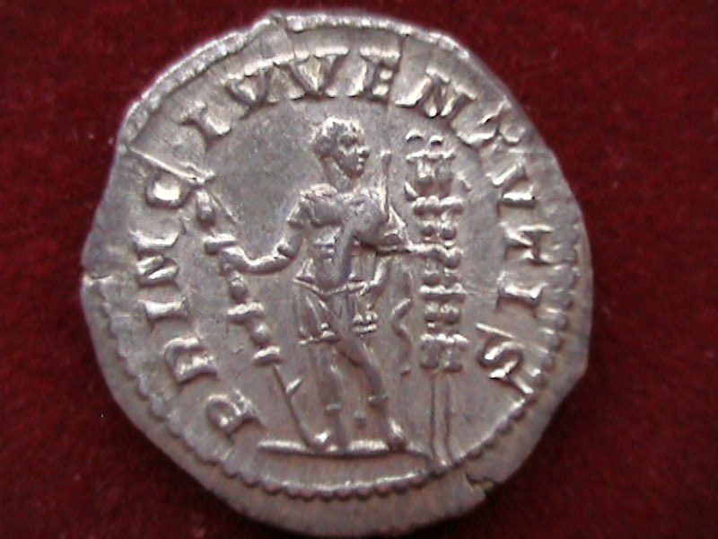 DCAM0044.JPG
