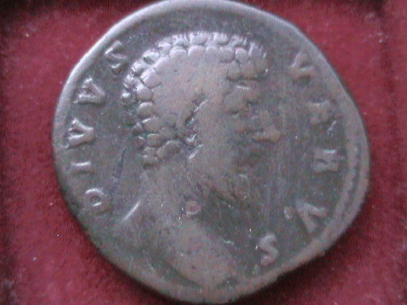 DCAM0046.JPG