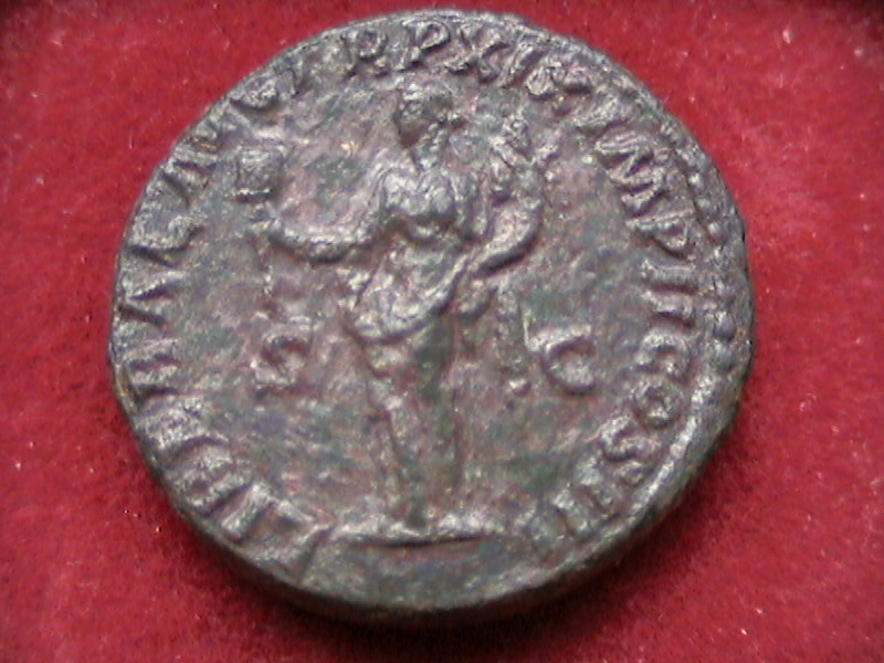 DCAM0046.JPG