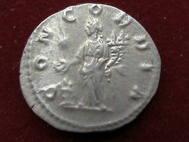 DCAM0047.JPG
