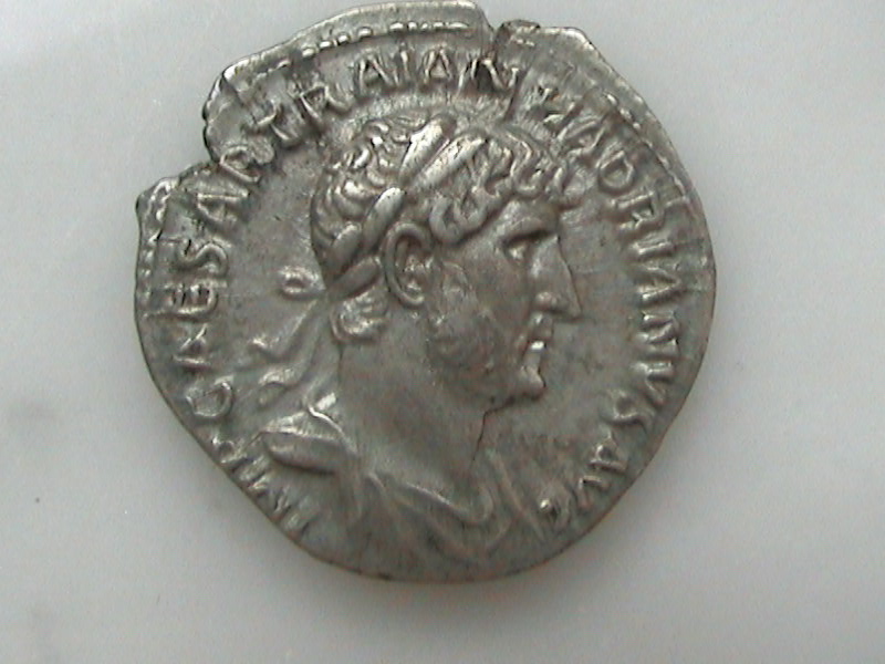 DCAM0049.JPG