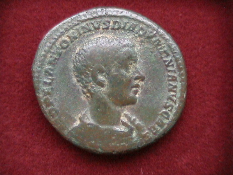 DCAM0057.JPG