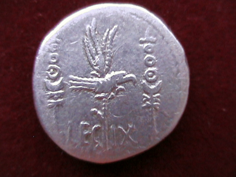 DCAM0078.JPG