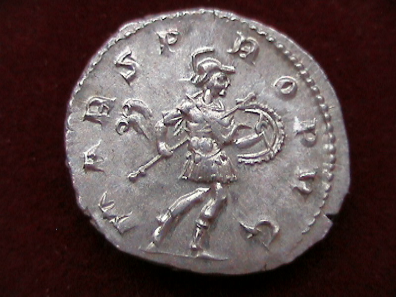 DCAM0090.JPG