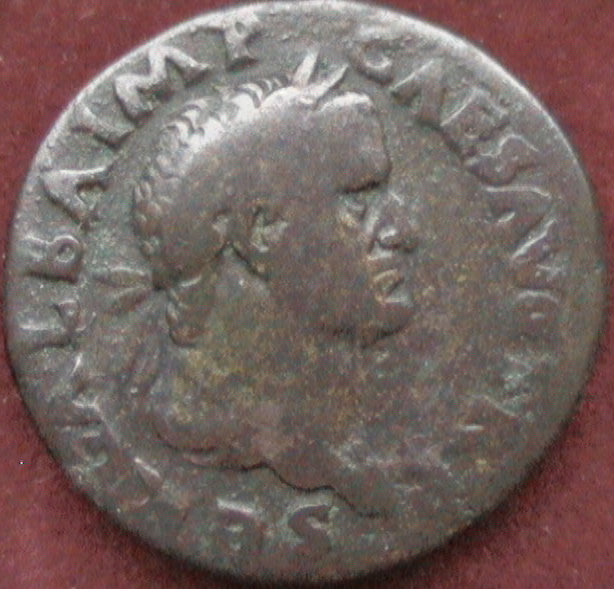 DCAM0092.JPG