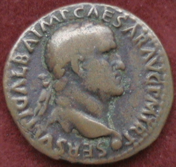 DCAM0100.JPG