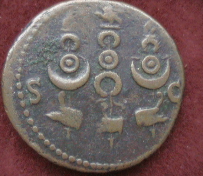 DCAM0104.JPG