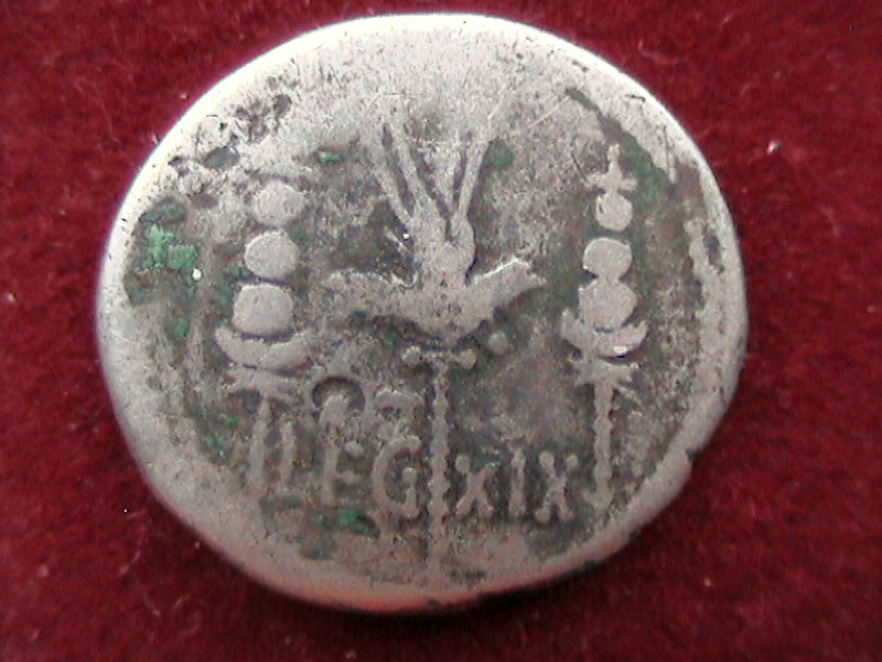 DCAM0197.JPG