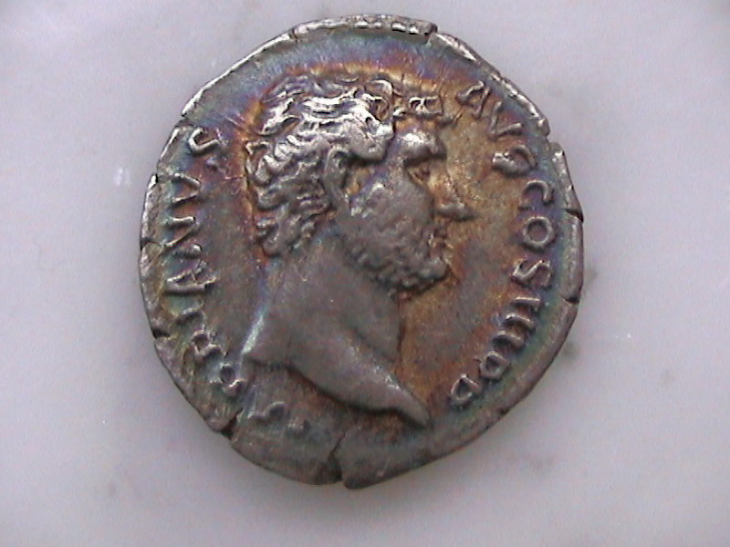 DCAM0244.JPG