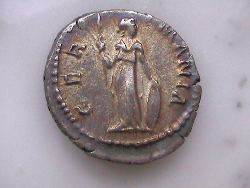 DCAM0246.JPG