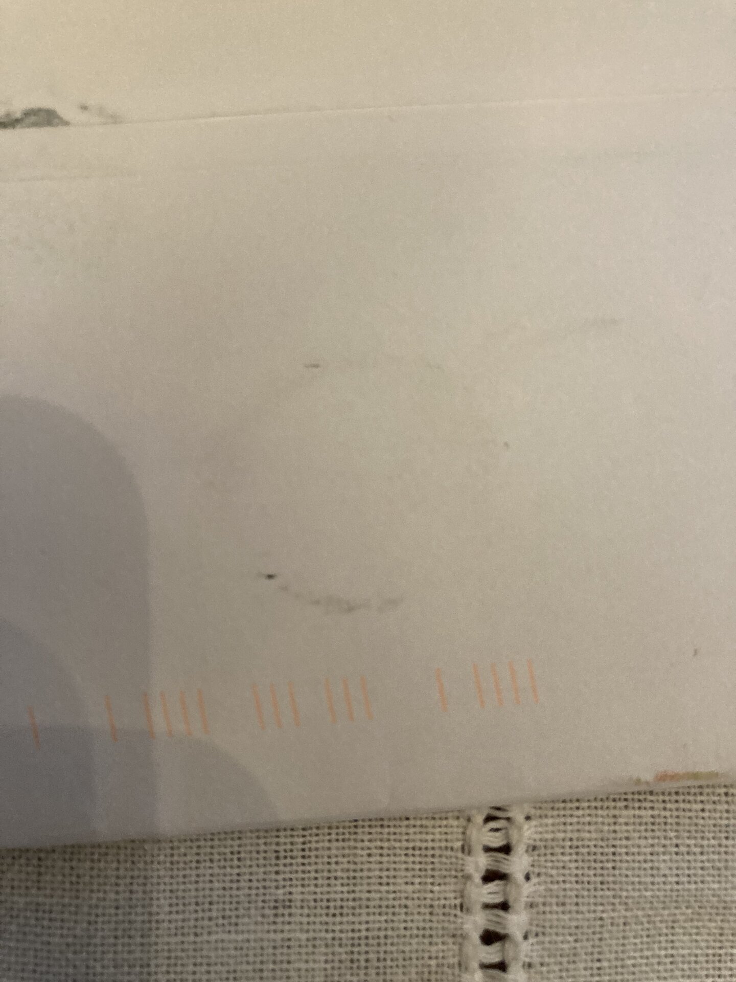DD1A3851-5A51-499C-A3EC-0A7B1240AE0F.jpeg