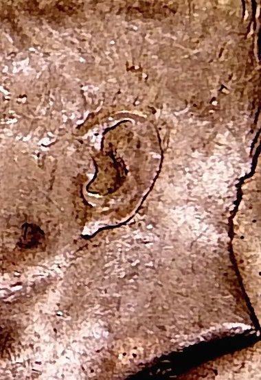 ddo ear.jpg