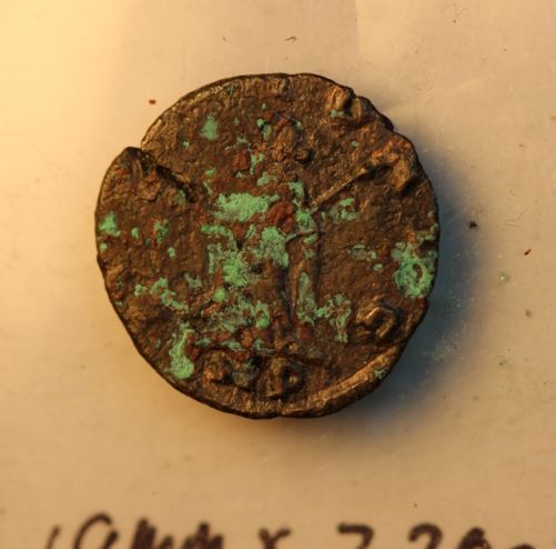 dead coins 004_opt.jpg