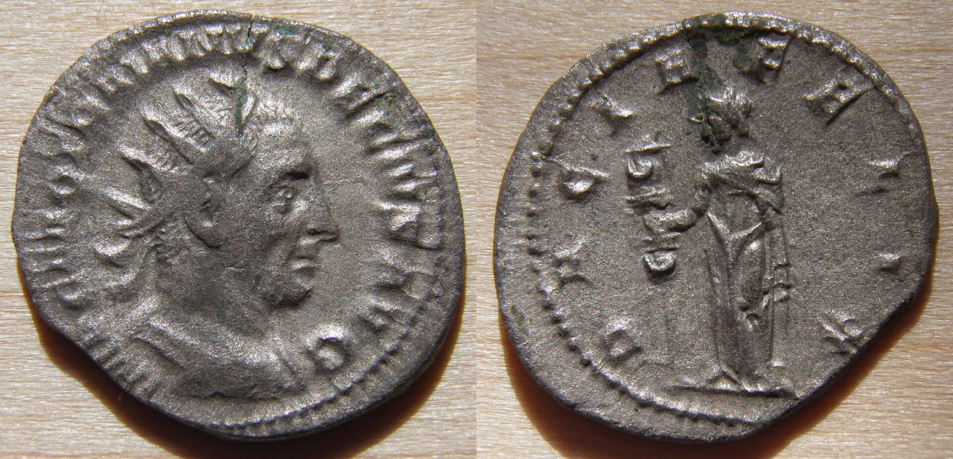 decius 55.jpg