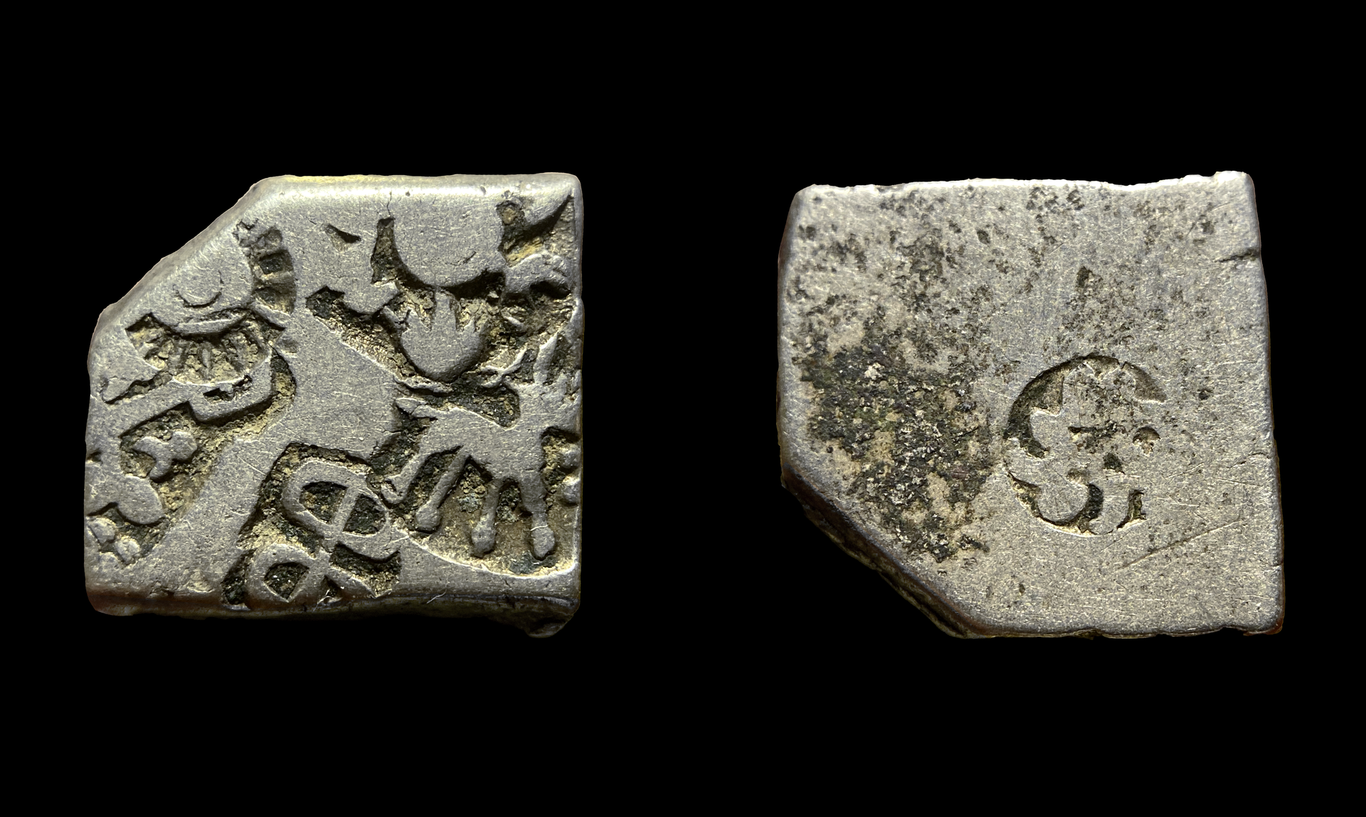 Deer Ashoka copy.png