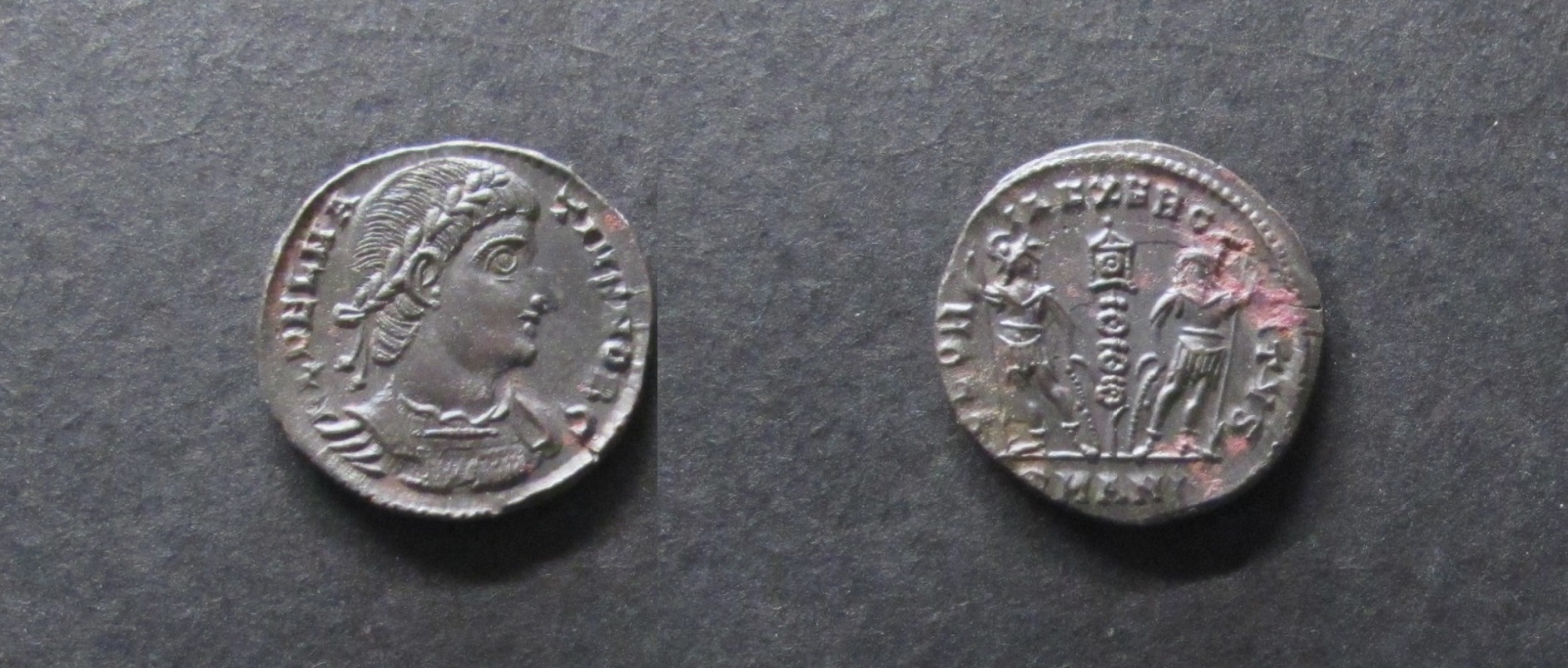 Delmatius.JPG